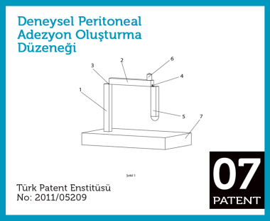Deneysel peritoneal adezyon oluşturma düzeneği
